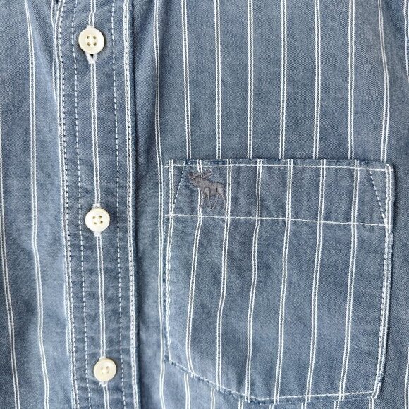 Abercrombie & Fitch Mens Muscle Shirt Button Down Moose Pinstripe M Blue - Picture 2 of 8